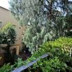 Apartments Florence - Pinzochere Studio