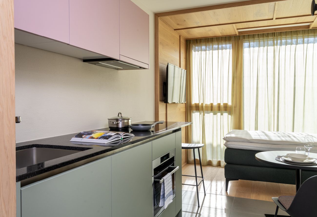 Townhouse Apartment Mountain Small Studio