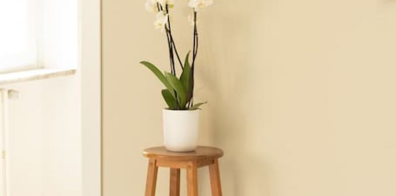 Agrate 8 – Curato e moderno - BnButler srl