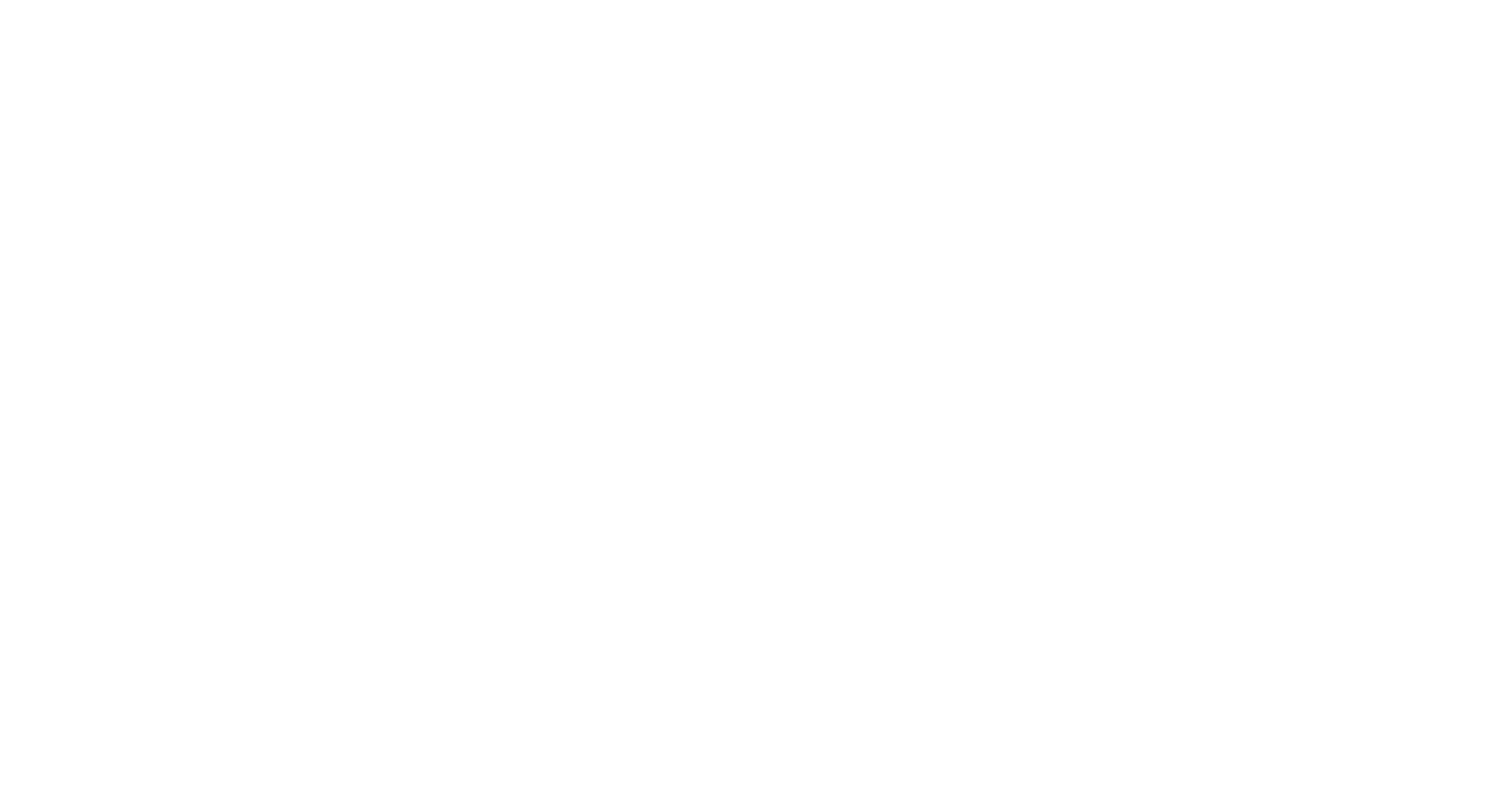 Domus Avi Guest House