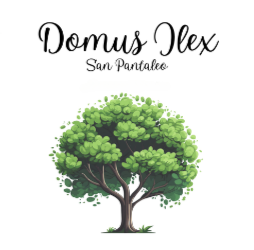 DOMUS ILEXOL
