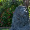 Leone in pietra nel giardino della villa - Giardino di Michela