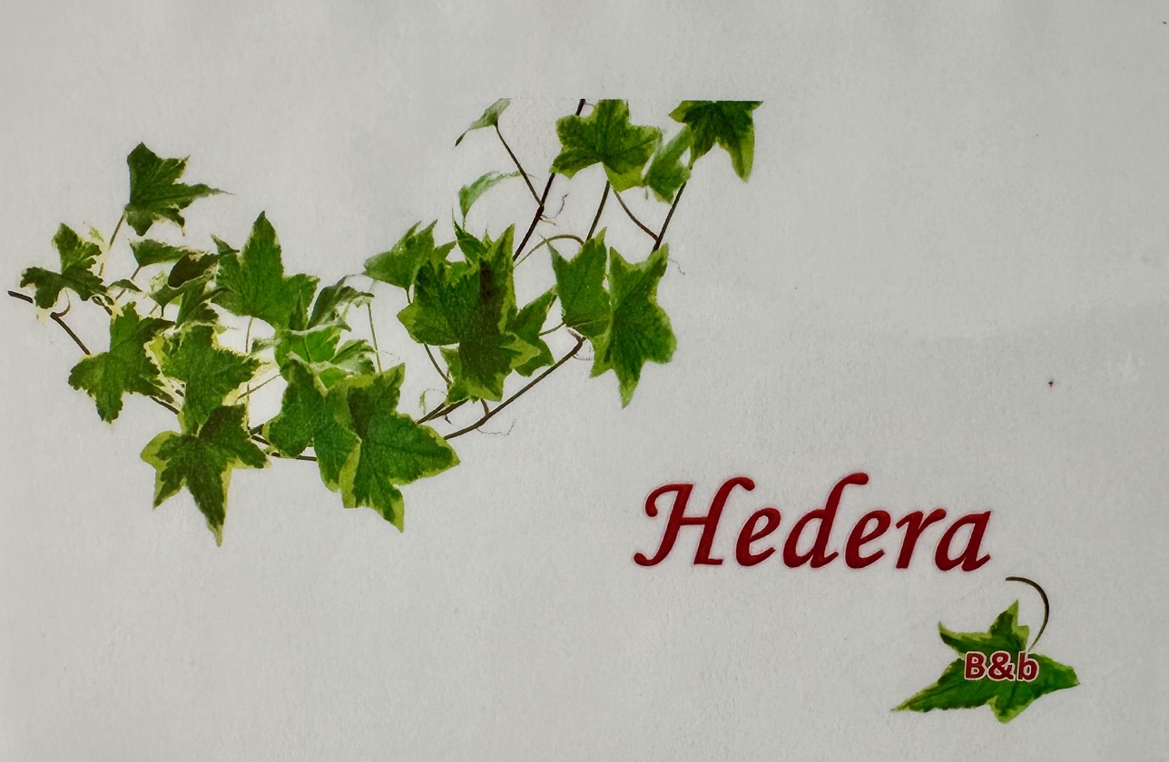 Hedera Capri b&b 