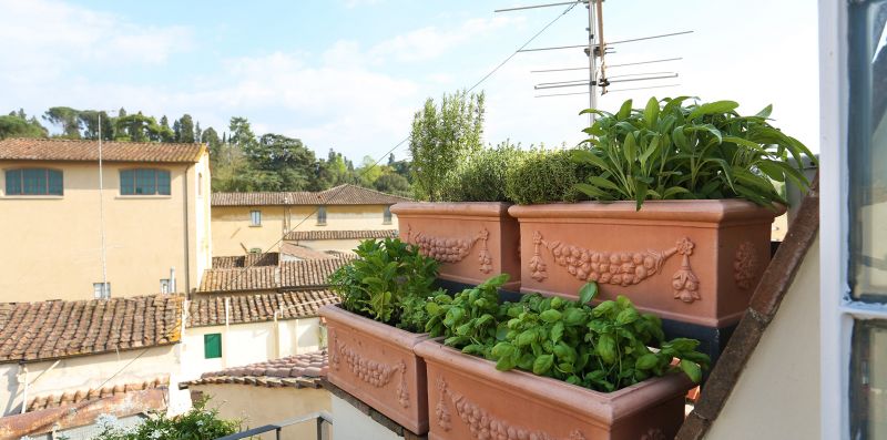 Borgo Tegolaio Terrace - House Flo