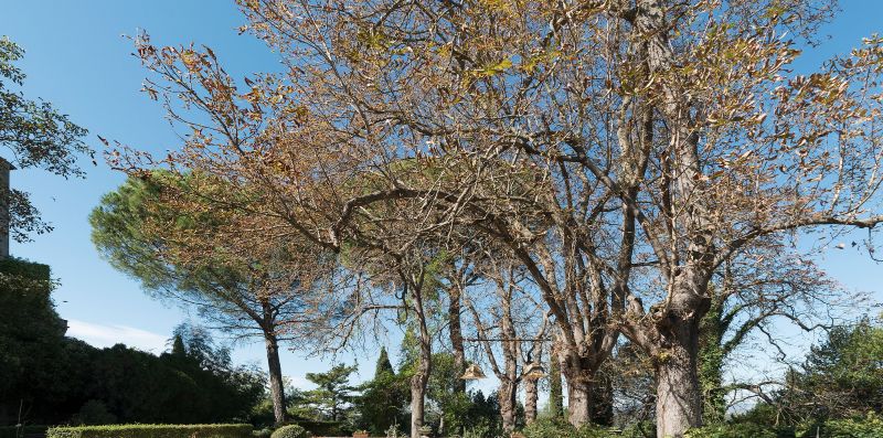 Fantastica Villa a Bomarzo - iFlat
