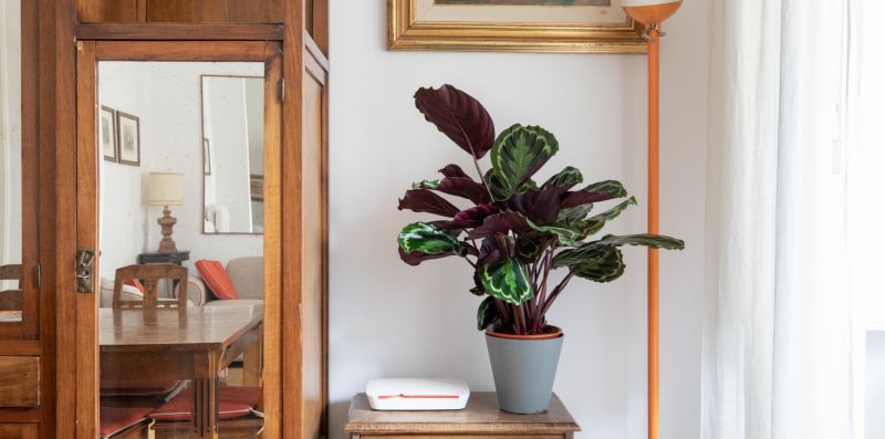 Savoia Charming Family House - iFlat