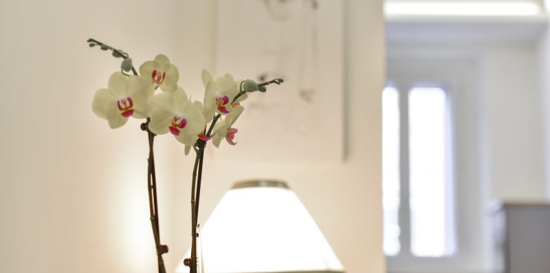 Campo de' Fiori Brand New Apartment - iFlat