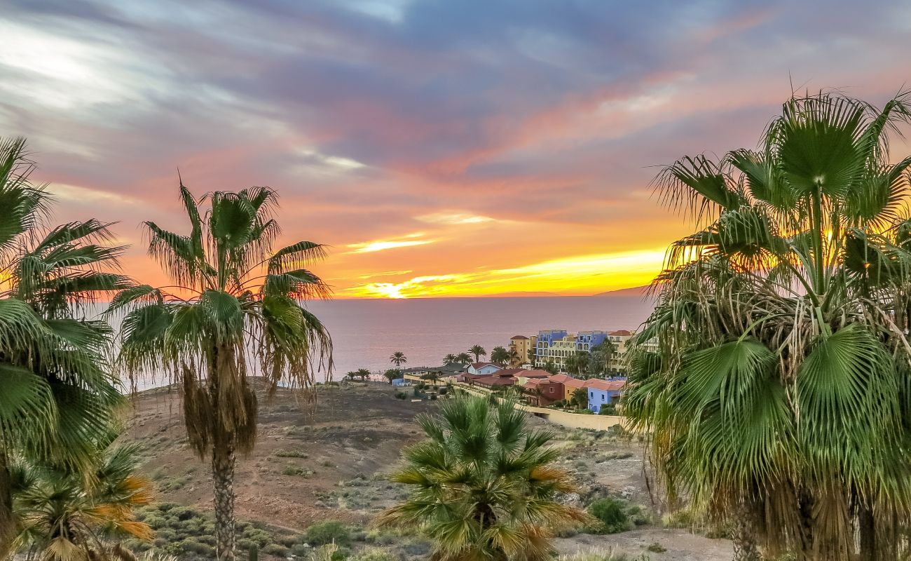 Las Vistas Gallery
