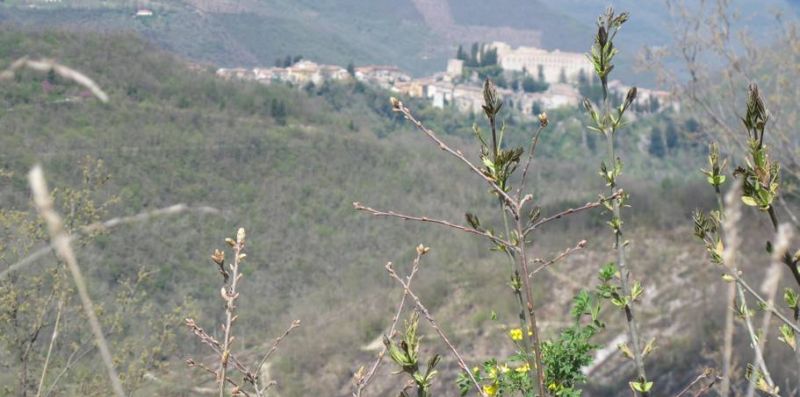 Luxury Casale Sabina Valley - Rome Sweet Home