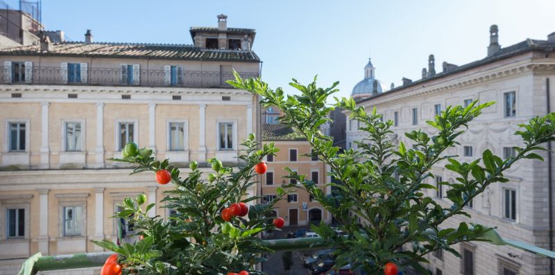 Farnese Stylish Apartment - Rome Sweet Home