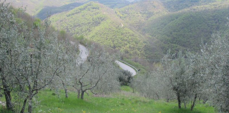 Luxury Casale Sabina Valley - 3 Bedroom Villa - Rome Sweet Home
