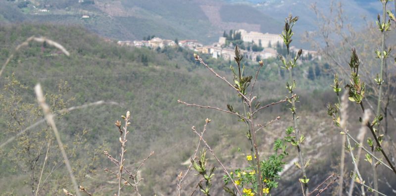 Luxury Casale Sabina Valley - 3 Bedroom Villa - Rome Sweet Home