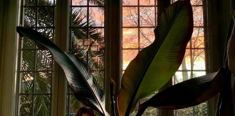Luxury Fashion Apartment With Garden - Rome Sweet Home