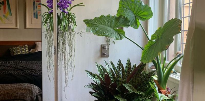 Luxury Fashion Apartment With Garden - Rome Sweet Home