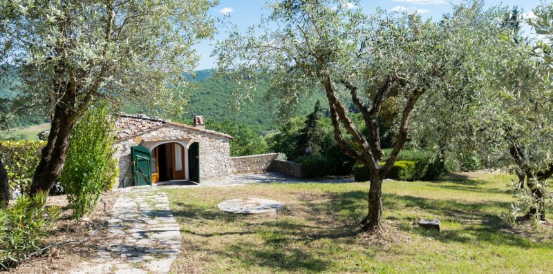 Casa degli ulivi con piscina - Starthouse