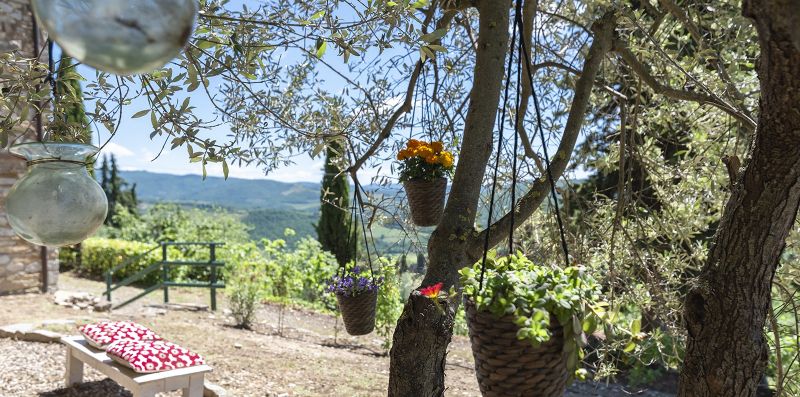 Casa Il Cipresso con piscina - Starthouse