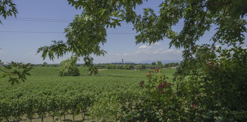 LA CASINA APARTMENT - Vivere il Garda