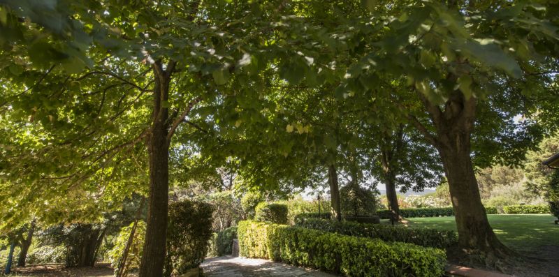 Villa Calandrina - Trevignano Romano, meravigliosa villa vista lago per 13 pax  - Weekey Rentals