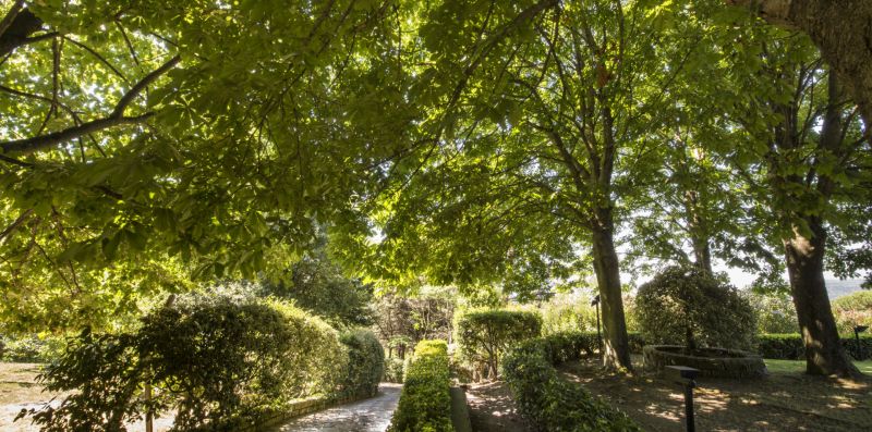 Villa Calandrina - Trevignano Romano, meravigliosa villa vista lago per 13 pax - Weekey Rentals